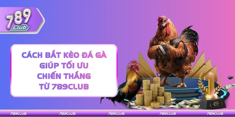 Cách bắt kèo đá gà