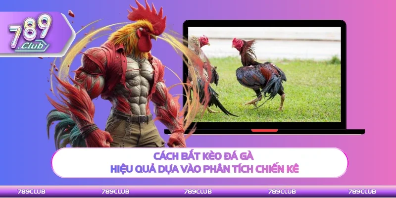 Cửa cược chính khi tham gia nhận định kèo đấu kê