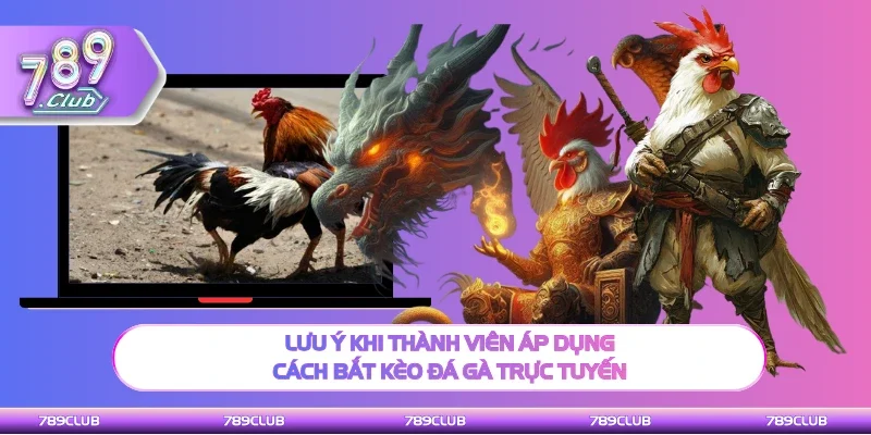 Lưu ý cần biết khi áp dụng cách bắt kèo đá gà trực tuyến