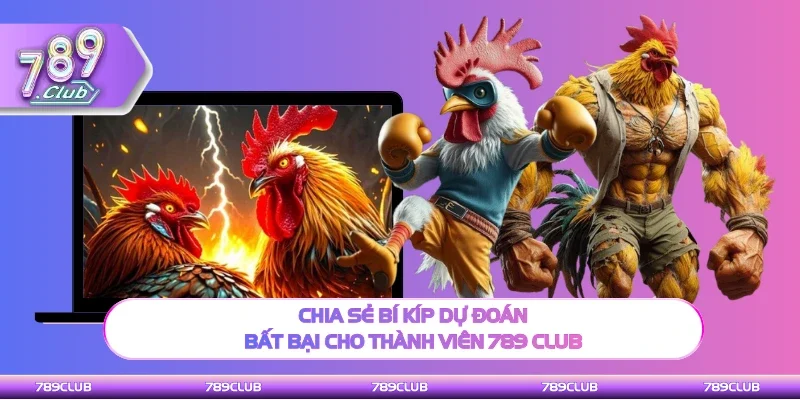 Chia sẻ kinh nghiệm dự đoán bất bại cho thành viên 789 club