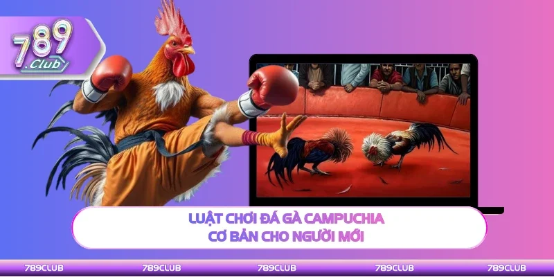Luật chơi đá gà Campuchia cơ bản hội viên nên biết