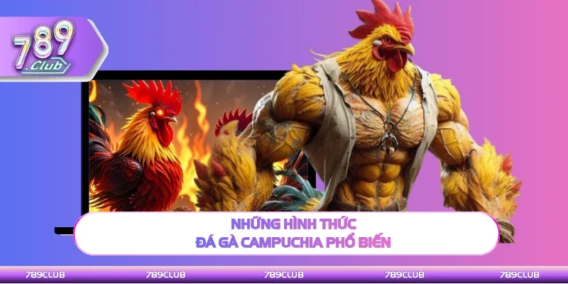 Những thể loại đá gà Campuchia phổ biến