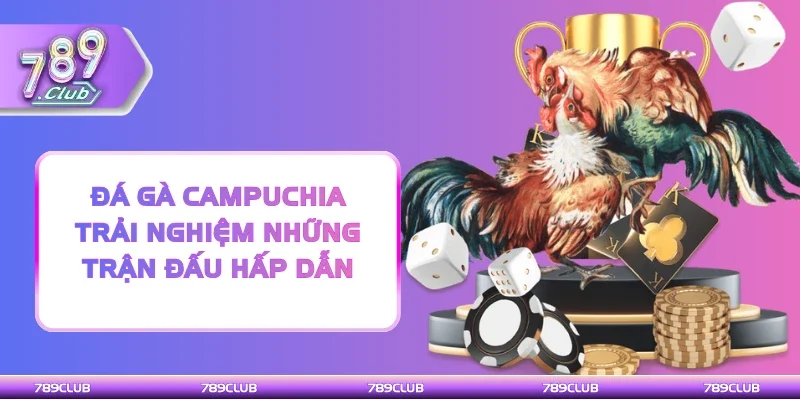 Đá gà Campuchia