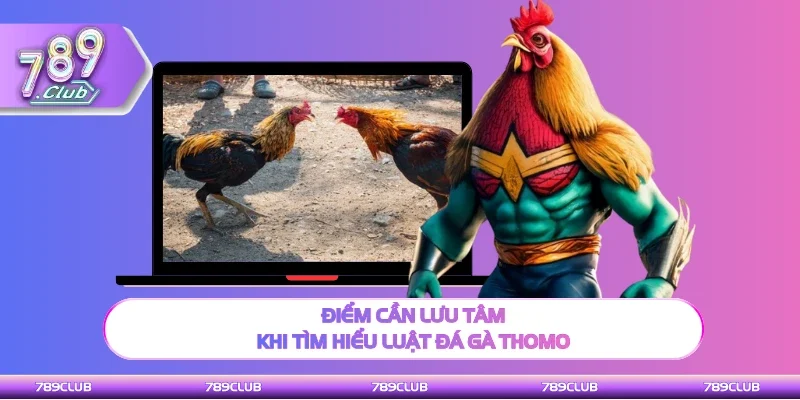 Điểm cần chú ý khi tìm hiểu luật đá gà Thomo