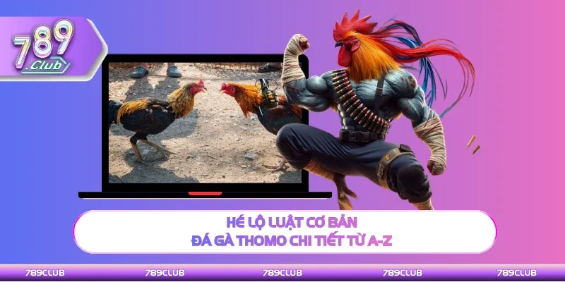 Thông tin luật cơ bản đá gà Thomo chi tiết từ A-Z